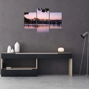 Tablou cu palatul din Praga și Vltava (90x60 cm)