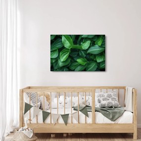 Tablou - Frunze verzi (90x60 cm)