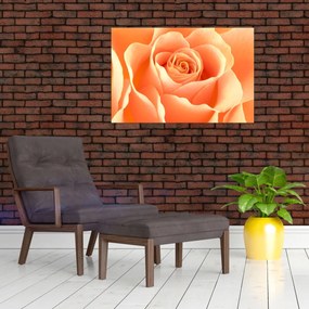 Tablou - Imaginea- Trandafiri, culoarea caisei (90x60 cm)