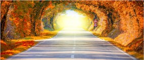 Tablou - Poarta din copaci (120x50 cm)