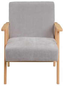 Fotoliu gri cu tapițerie din chenille Vintage – Casa Selección