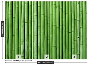 Fototapet Bamboo Green