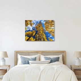 Tablou pe sticlă - Aspen (70x50 cm)