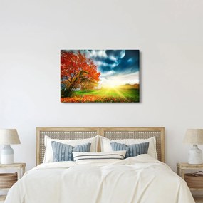 Tablou peisaj cu scufundat în razele solare (90x60 cm)