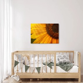 Tablou - Floarea-soarelui (70x50 cm)
