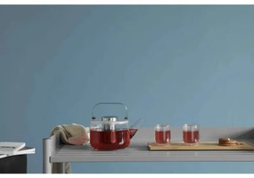 Ceainic BJORN Viva Scandinavia V37901, 1.2 L, Maner rece, Infuzor, Capac, Transparent