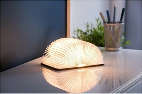 Decorațiune luminoasă maro cu USB Booklight – Gingko