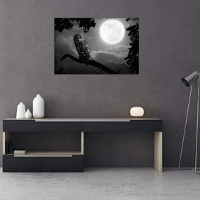 Tablou - Bufniță de noapte, alb și negru (90x60 cm)