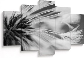 Tablou - Macro,alb-negru (150x105 cm)