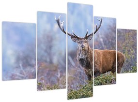 Tablou - Cerb în peisaj (150x105 cm)