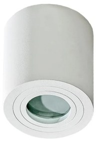 Spot aplicat pentru baie IP44 Brant 1 alb