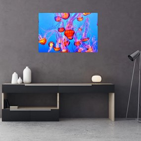 Tablou cu meduse în mare (90x60 cm)