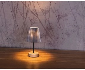 Lampă de masă Spot-Light 7771960 MILA 1xE14/25W/230V mesteacăn