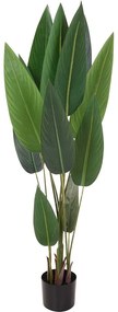 PLANTA DECOR PASAREA PARADISULUI, 12 FRUNZE, H 130 CM, VERDE