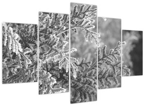 Tablou - Pădure de molid (150x105 cm)