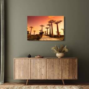 Tablou - Apus de soare pe Aleea Baobabilor (90x60 cm)