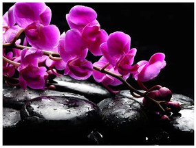 Fototapet - Relaxing moment: orchid flower and stones