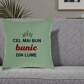 Cadou pentru Bunic - Perna Personalizata Cel Mai Bun Bunic Din Lume Coroana Rosu, 40x40 cm, Verde, Husa Detasabila, Perna Inclusa, BEKZ®
