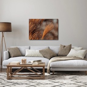 Tablou - Cortaderie (70x50 cm)