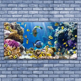 Tablouri acrilice Coral Reef Natura Multi