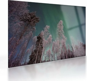 Tablou pe sticlă cu aurora borealis deasupra pomilor înghețați (70x50 cm)