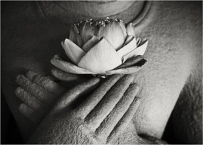 Tablou - Lotus în mâinile lui Buddha (70x50 cm)