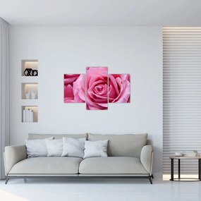 Tablou cu trandafir (90x60 cm)