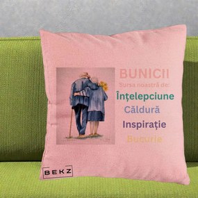 Cadou pentru Bunici - Perna Personalizata Bunicii Sursa Intelepciune Caldura Acuarela, 40x40 cm, Roz, Husa Detasabila, Perna Inclusa, BEKZ®