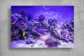 Tapet Premium Canvas - Pestii si reciful de corali