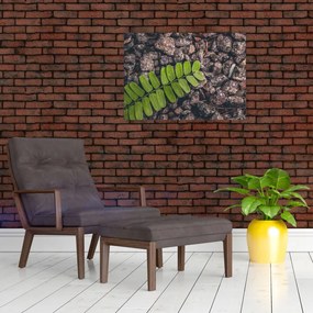 Tablou cu planta verde (70x50 cm)