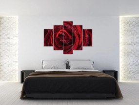 Tablou - Trandafir roșu cu picături de rouă (150x105 cm)