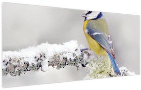 Tablou - Pițigoi (120x50 cm)