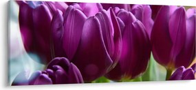 Tablou cu lalele (120x50 cm)