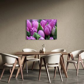 Tablou - florile lalelelor (90x60 cm)