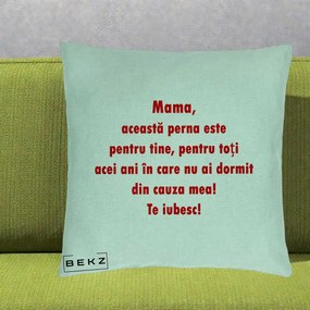Cadou pentru Mama - Perna Personalizata Perna pentru Mama, 40x40 cm, Verde Menta, Husa Detasabila, Perna Inclusa, BEKZ®