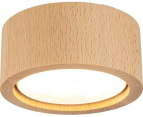 Spot EVE 1xGX53/11W/230V fag