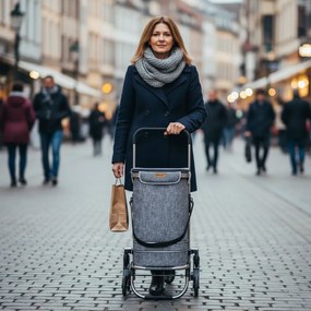 Jurhan Geantă de cumpărături pe roți pentru scări COMFORT, 50L, gri