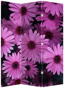 Paravan - Florile roz (126x170 cm)