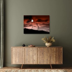 Tablou pe sticlă - Luna luminează noaptea (70x50 cm)