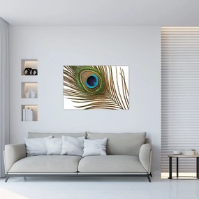 Tablou cu pene de păun (90x60 cm)