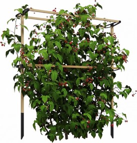 Outsunny Spalier metalic flexibil pentru fructe de pădure: zmeură, mure &amp; afine – spalier extensibil | Aosom Romania