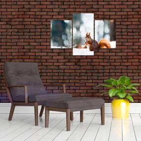 Tablou - Veveriță (90x60 cm)