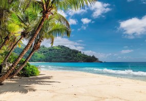 Fototapet - Plaja din Caraibe (147x102 cm)