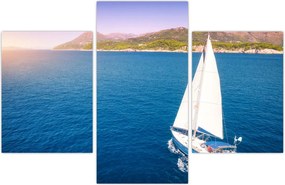 Tablou - Excursie cu navă (90x60 cm)