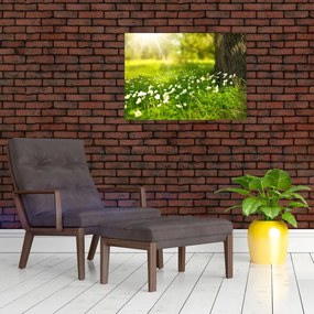 Tablou cu poiana și flori (70x50 cm)