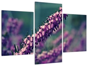 Tablou cu floare violetă (90x60 cm)