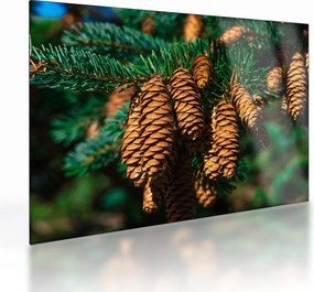 Tablou pe sticlă cu con de brad (70x50 cm)