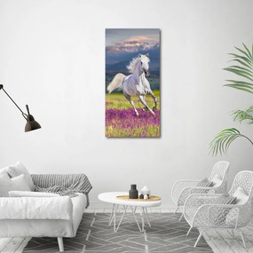 Pictură pe pânză Cal alb în galop