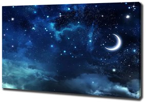 Tablou pe pânză canvas Cer înstelat