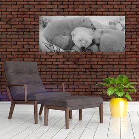 Tablou - Urși polari, alb-negru (120x50 cm)